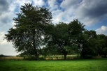 NatuurGenotRoute