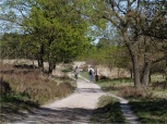 Pferdepension Jagerhof